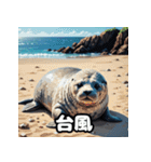 毎日使える40表情あざらしスタンプ（個別スタンプ：15）