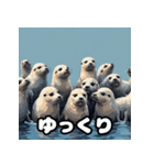 毎日使える40表情あざらしスタンプ（個別スタンプ：27）