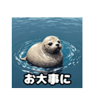 毎日使える40表情あざらしスタンプ（個別スタンプ：30）