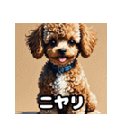 表情豊かなトイプードル40連発！（個別スタンプ：1）