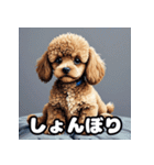 表情豊かなトイプードル40連発！（個別スタンプ：3）