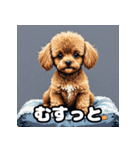 表情豊かなトイプードル40連発！（個別スタンプ：5）