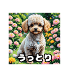 表情豊かなトイプードル40連発！（個別スタンプ：11）
