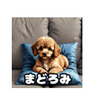 表情豊かなトイプードル40連発！（個別スタンプ：15）
