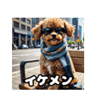 表情豊かなトイプードル40連発！（個別スタンプ：17）