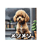 表情豊かなトイプードル40連発！（個別スタンプ：19）