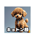 表情豊かなトイプードル40連発！（個別スタンプ：21）