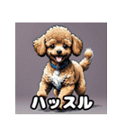 表情豊かなトイプードル40連発！（個別スタンプ：25）