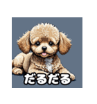 表情豊かなトイプードル40連発！（個別スタンプ：28）