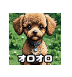 表情豊かなトイプードル40連発！（個別スタンプ：30）