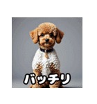 表情豊かなトイプードル40連発！（個別スタンプ：39）
