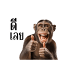 動く！リアル猿（タイ語）（個別スタンプ：2）