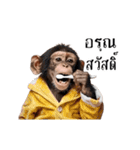 動く！リアル猿（タイ語）（個別スタンプ：5）