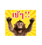 動く！リアル猿（タイ語）（個別スタンプ：10）