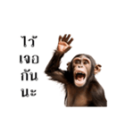 動く！リアル猿（タイ語）（個別スタンプ：18）
