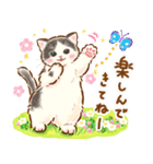 猫たちのスタンプ〜ペンギンといっしょ♪〜（個別スタンプ：7）