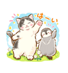 猫たちのスタンプ〜ペンギンといっしょ♪〜（個別スタンプ：17）