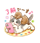 猫たちのスタンプ〜ペンギンといっしょ♪〜（個別スタンプ：19）