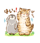 猫たちのスタンプ〜ペンギンといっしょ♪〜（個別スタンプ：20）