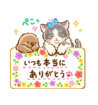 猫たちのスタンプ〜ペンギンといっしょ♪〜（個別スタンプ：24）