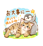 猫たちのスタンプ〜ペンギンといっしょ♪〜（個別スタンプ：36）