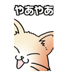 超BIGもふもふにゃんこ その1（個別スタンプ：1）