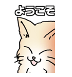 超BIGもふもふにゃんこ その1（個別スタンプ：4）
