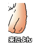 超BIGもふもふにゃんこ その1（個別スタンプ：5）
