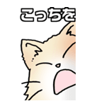 超BIGもふもふにゃんこ その1（個別スタンプ：9）