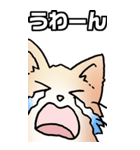 超BIGもふもふにゃんこ その1（個別スタンプ：10）