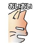 超BIGもふもふにゃんこ その1（個別スタンプ：11）