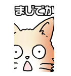 超BIGもふもふにゃんこ その1（個別スタンプ：12）