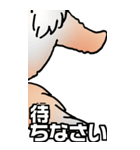 超BIGもふもふにゃんこ その1（個別スタンプ：15）