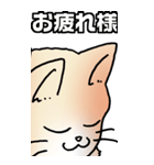 超BIGもふもふにゃんこ その1（個別スタンプ：18）