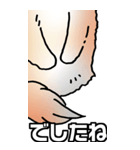 超BIGもふもふにゃんこ その1（個別スタンプ：22）