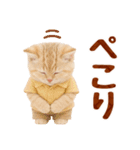 ▶飛び出る癒しにゃんこの敬語スタンプ（個別スタンプ：1）