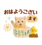 ▶飛び出る癒しにゃんこの敬語スタンプ（個別スタンプ：6）