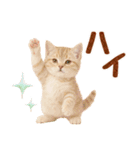 ▶飛び出る癒しにゃんこの敬語スタンプ（個別スタンプ：13）