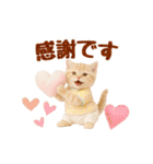 ▶飛び出る癒しにゃんこの敬語スタンプ（個別スタンプ：14）