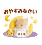 ▶飛び出る癒しにゃんこの敬語スタンプ（個別スタンプ：16）