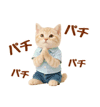 ▶飛び出る癒しにゃんこの敬語スタンプ（個別スタンプ：23）