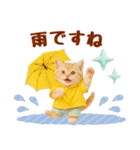 ▶飛び出る癒しにゃんこの敬語スタンプ（個別スタンプ：24）