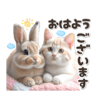 初夏♡仲良しうさぎとネコ（個別スタンプ：1）