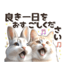 初夏♡仲良しうさぎとネコ（個別スタンプ：3）