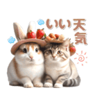 初夏♡仲良しうさぎとネコ（個別スタンプ：5）