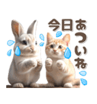 初夏♡仲良しうさぎとネコ（個別スタンプ：6）