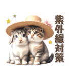 初夏♡仲良しうさぎとネコ（個別スタンプ：8）