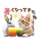 初夏♡仲良しうさぎとネコ（個別スタンプ：9）