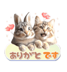 初夏♡仲良しうさぎとネコ（個別スタンプ：19）