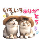 初夏♡仲良しうさぎとネコ（個別スタンプ：20）